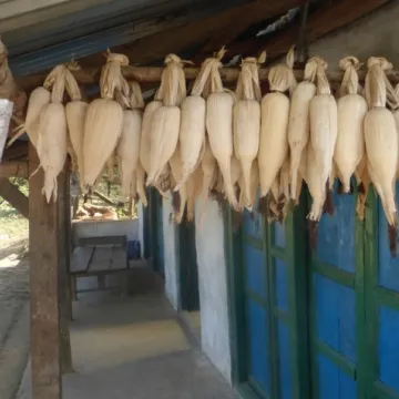 Post harvest technologies and value addition to reduce losses and increase farm income