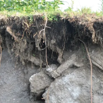 Soil health management including composting and soil testing for small scale farmers