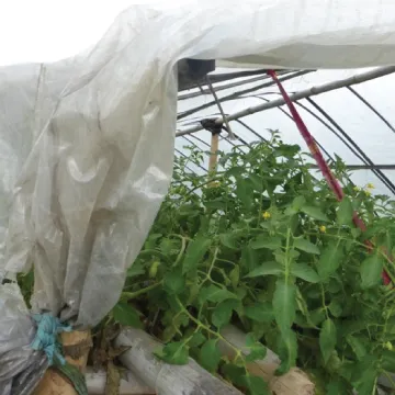 Rural disaster relief and agricultural recovery for farmers after floods and droughts