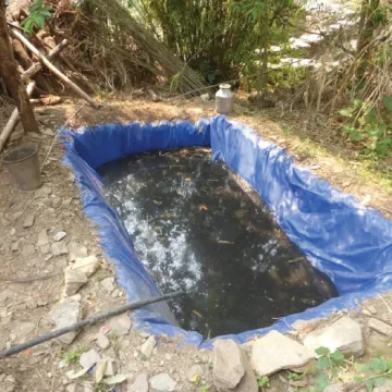 Water and drought resiliency techniques including irrigation and rainwater harvesting