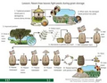 Thumbnail for version as of 14:38, 15 April 2026