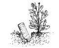 Thumbnail for version as of 14:39, 15 April 2026