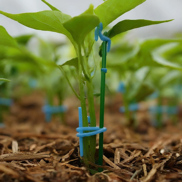 File:20260410180033!2.13 farm.webp