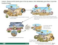 Thumbnail for version as of 14:39, 15 April 2026