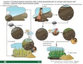 Thumbnail for version as of 14:38, 15 April 2026