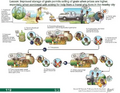 Thumbnail for version as of 14:39, 15 April 2026
