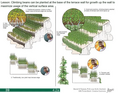 Thumbnail for version as of 14:38, 15 April 2026