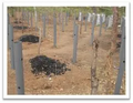 Thumbnail for version as of 14:38, 15 April 2026