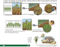 Thumbnail for version as of 14:39, 15 April 2026