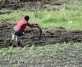 Thumbnail for version as of 14:38, 15 April 2026