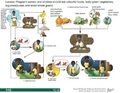 Thumbnail for version as of 14:39, 15 April 2026