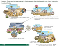 Thumbnail for version as of 14:39, 15 April 2026