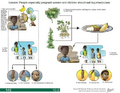 Thumbnail for version as of 14:39, 15 April 2026