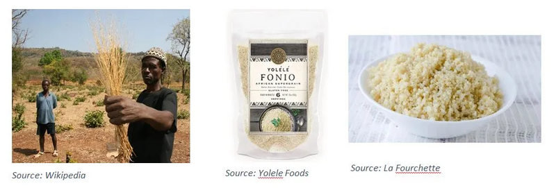 File:20260410180554!20260410180013!Capture 405.webp