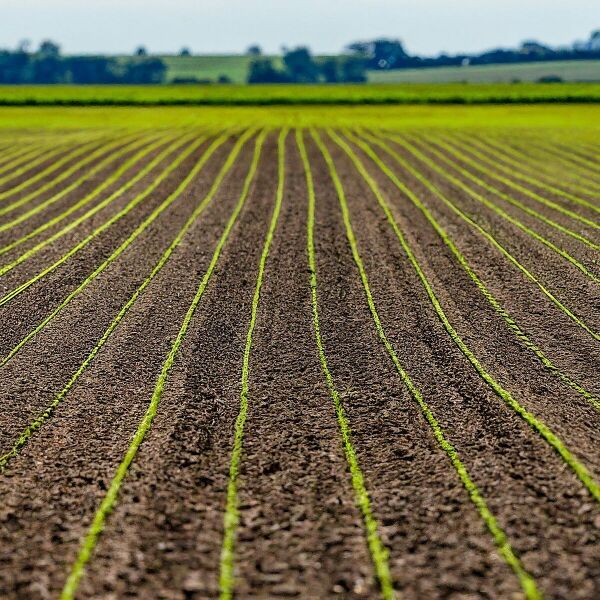 File:1200px-Img 7 1.jpeg