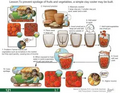 Thumbnail for version as of 14:38, 15 April 2026