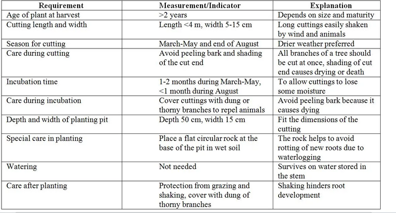 File:Capture 633.webp
