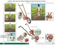 Thumbnail for version as of 14:38, 15 April 2026