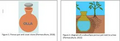 Thumbnail for version as of 14:39, 15 April 2026