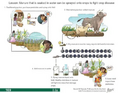 Thumbnail for version as of 14:39, 15 April 2026