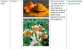 Thumbnail for version as of 14:42, 15 April 2026