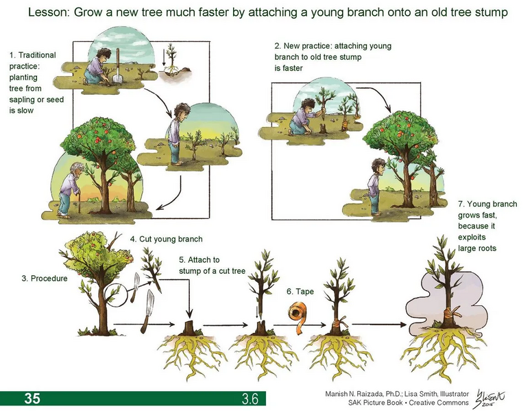 File:20260410180551!1164px-IMAGE 3.webp