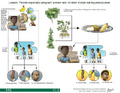 Thumbnail for version as of 14:41, 15 April 2026