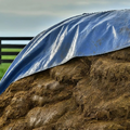 Thumbnail for version as of 14:41, 15 April 2026