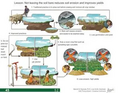 Thumbnail for version as of 14:39, 15 April 2026