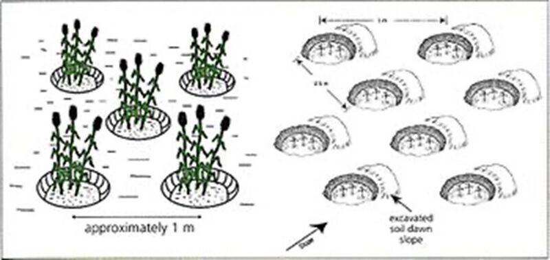 File:20260410175950!Page 10.jpg