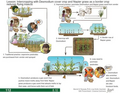 Thumbnail for version as of 14:39, 15 April 2026