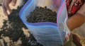 Thumbnail for version as of 14:38, 15 April 2026