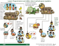 Thumbnail for version as of 14:42, 15 April 2026