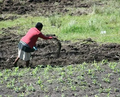 Thumbnail for version as of 14:40, 15 April 2026
