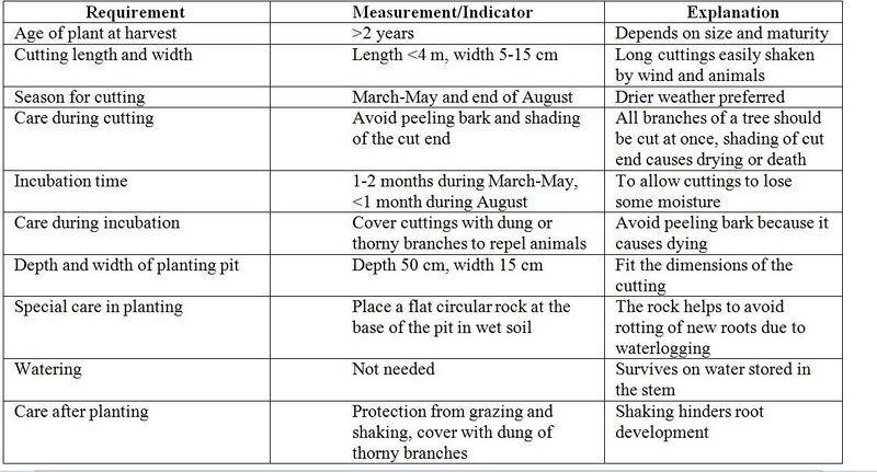 File:Capture 633.JPG