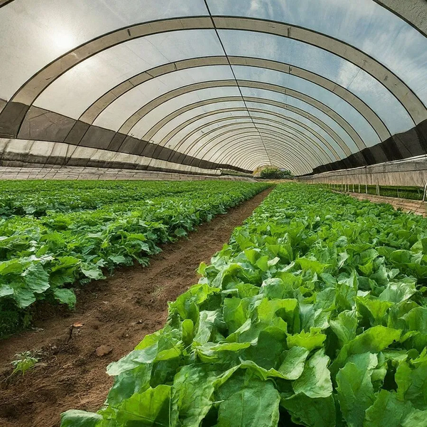 File:900px-2.10 farm.webp