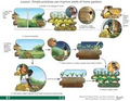Thumbnail for version as of 14:39, 15 April 2026