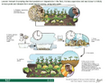 Thumbnail for version as of 14:39, 15 April 2026