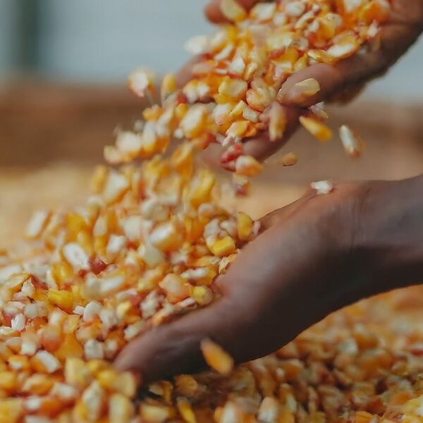 File:20260410175951!2.9 farm.jpg