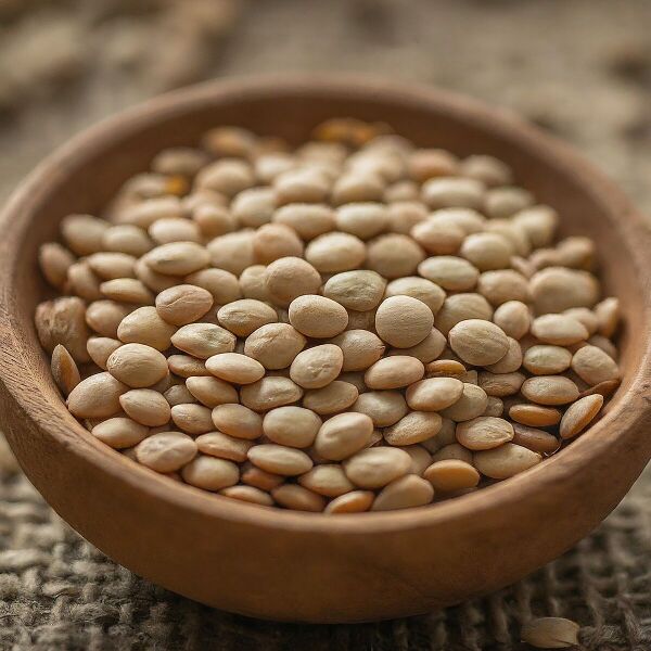 File:1200px-Gemini Generated Image 4tqy1i4tqy1i4tqy.jpeg