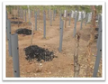 Thumbnail for version as of 14:39, 15 April 2026