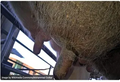 Thumbnail for version as of 14:42, 15 April 2026