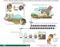 Thumbnail for version as of 14:41, 15 April 2026