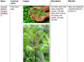 Thumbnail for version as of 14:40, 15 April 2026
