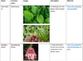 Thumbnail for version as of 14:42, 15 April 2026