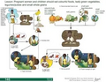 Thumbnail for version as of 14:39, 15 April 2026