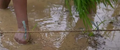 Thumbnail for version as of 14:40, 15 April 2026