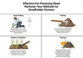 Thumbnail for version as of 14:41, 15 April 2026
