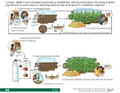 Thumbnail for version as of 14:41, 15 April 2026