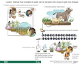 Thumbnail for version as of 14:38, 15 April 2026